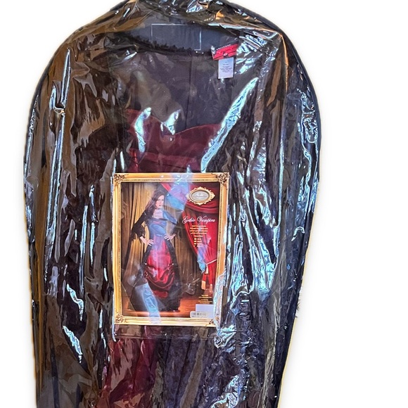 Gothic Vampira Costume Full Length Black and Burgundy Red Gown Size XL - Picture 2 of 4